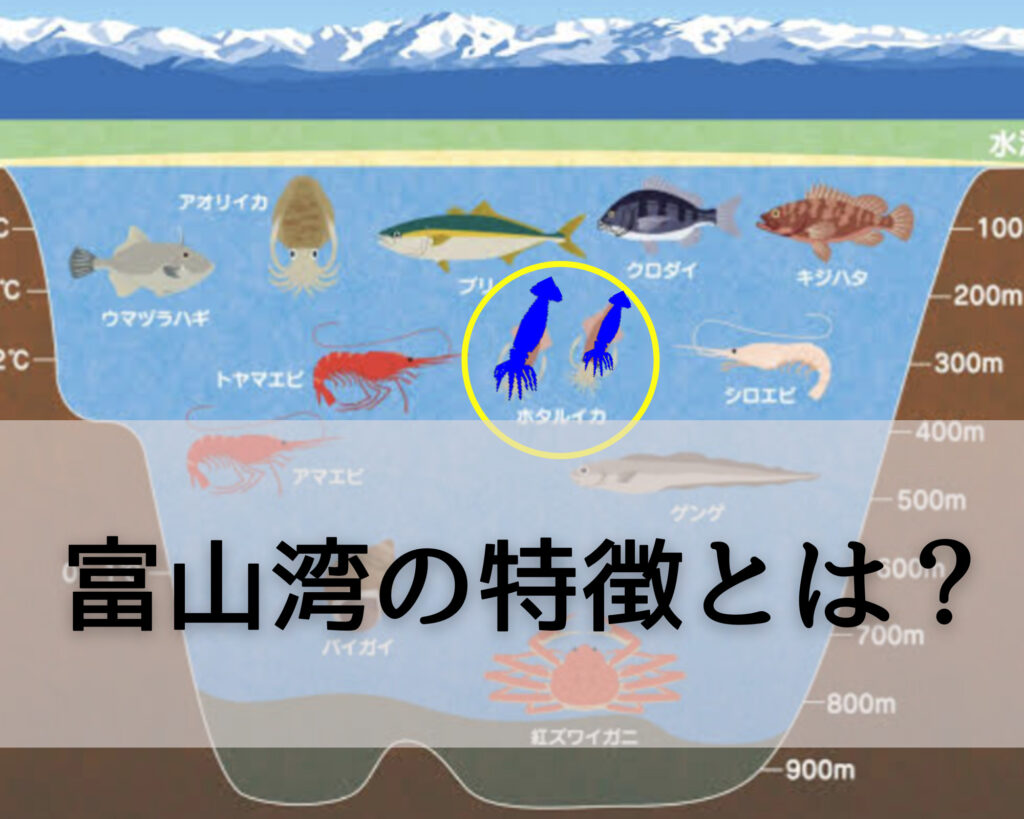 富山湾の特徴とは